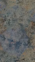 Stone